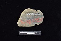 網墜藏品圖，第2張