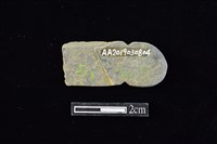 網墜藏品圖，第2張