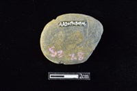 網墜藏品圖，第1張