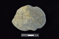 網墜藏品圖，第1張