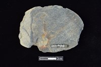 網墜藏品圖，第2張