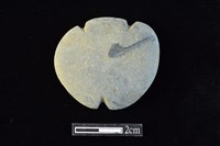 網墜藏品圖，第1張