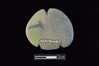 網墜藏品圖，第2張