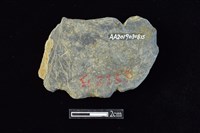 網墜藏品圖，第2張