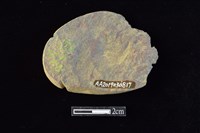 網墜藏品圖，第2張