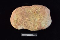 網墜藏品圖，第2張