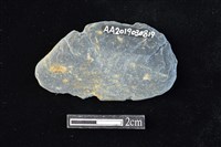 網墜藏品圖，第2張