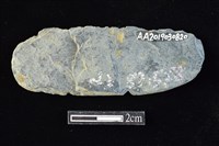 網墜藏品圖，第2張