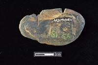 網墜藏品圖，第2張