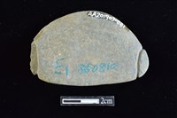 網墜藏品圖，第2張