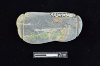 網墜藏品圖，第2張