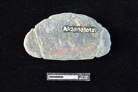 網墜藏品圖，第2張