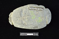 網墜藏品圖，第2張