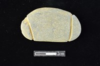 網墜藏品圖，第2張