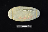 網墜藏品圖，第2張