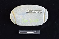 網墜藏品圖，第2張