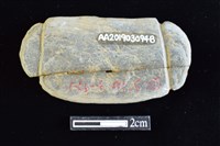 網墜藏品圖，第2張