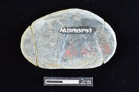 網墜藏品圖，第2張