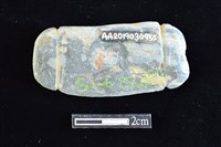 網墜藏品圖，第2張