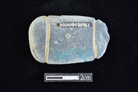 網墜藏品圖，第2張