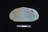 網墜藏品圖，第2張