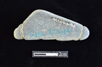 網墜藏品圖，第2張