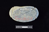 網墜藏品圖，第2張