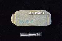 網墜藏品圖，第2張