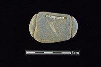 網墜藏品圖，第2張