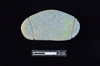 網墜藏品圖，第2張