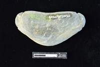 網墜藏品圖，第2張