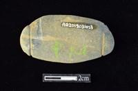 網墜藏品圖，第2張