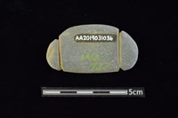 網墜藏品圖，第2張