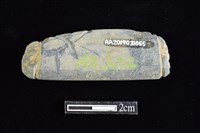 網墜藏品圖，第2張