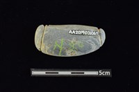 網墜藏品圖，第2張