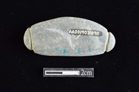 網墜藏品圖，第2張