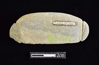 網墜藏品圖，第2張