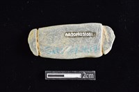 網墜藏品圖，第2張