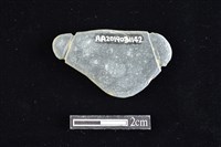 網墜藏品圖，第2張