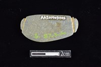 網墜藏品圖，第2張