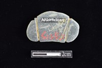 網墜藏品圖，第2張