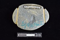 網墜藏品圖，第2張