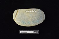 網墜藏品圖，第2張