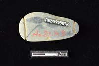 網墜藏品圖，第2張