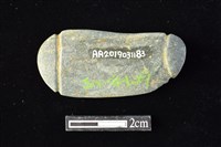 網墜藏品圖，第2張