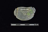 網墜藏品圖，第2張