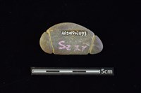 網墜藏品圖，第2張