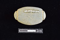 網墜藏品圖，第2張