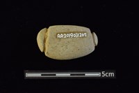 網墜藏品圖，第2張