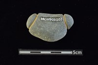 網墜藏品圖，第2張